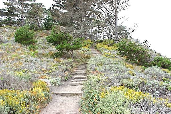 北加州Big Sur海岸線Point Lobos State
