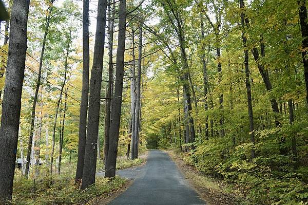 New England: Mohawk Trail, MA 