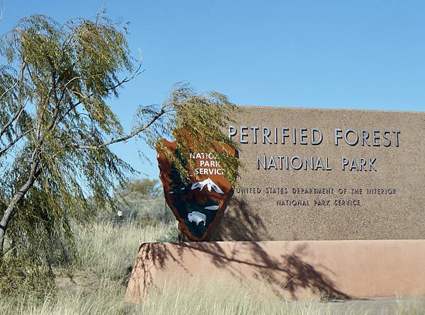 亞利桑納州石化林國家公園Petrified Forest N