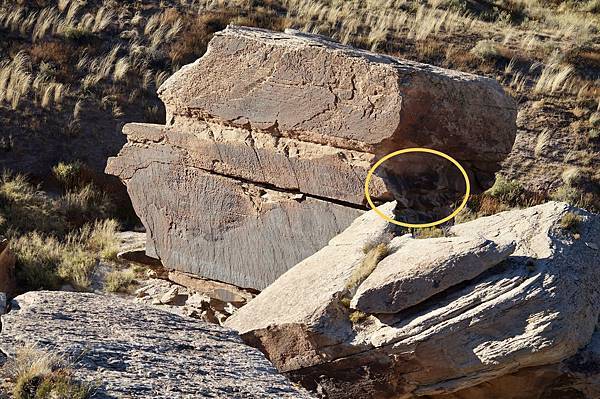 亞利桑納州石化林國家公園Petrified Forest N