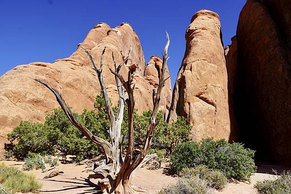 猶他州拱門國家公園Arches National Park