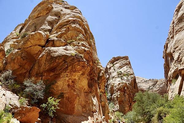 猶他州頂礁國家公園Capitol Reef National