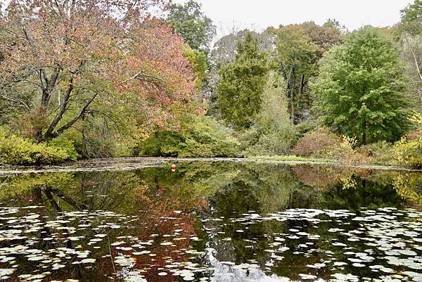 美國麻州衞斯理大學Wellesley College, MA