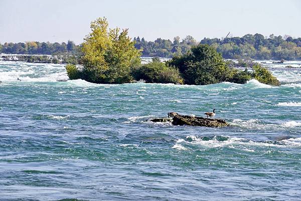 美國紐約州尼加拉瀑布Niagara Falls State 