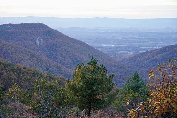 維吉尼亞州Shenandoah National Park仙