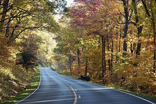 維吉尼亞州Shenandoah National Park仙