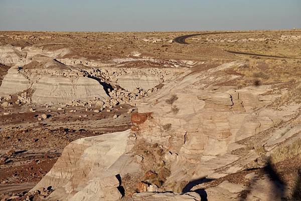 亞利桑納州石化林國家公園Petrified Forest N