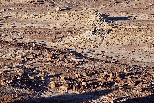 亞利桑納州石化林國家公園Petrified Forest N