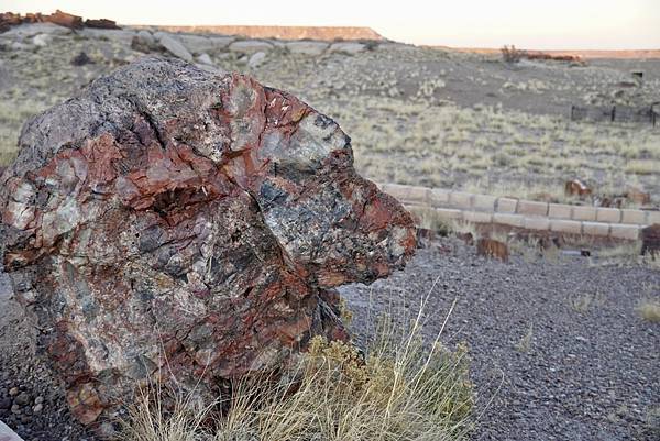 亞利桑納州石化林國家公園Petrified Forest N