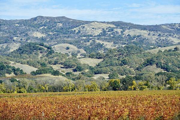 加州Sonoma酒莊-歷史城鎮Historic Sonoma