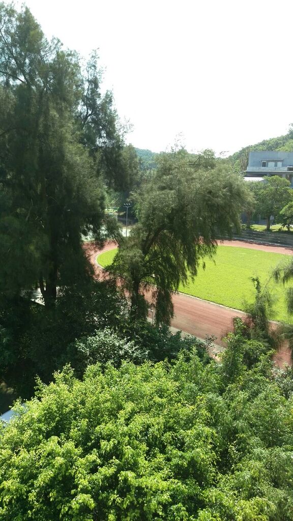 83512.jpg 83512.jpg