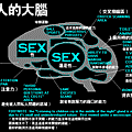 男人的大腦