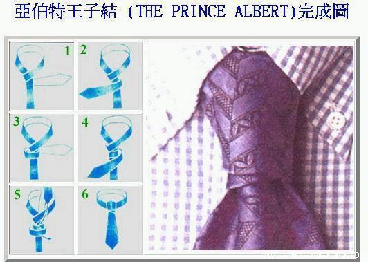 亞伯特王子結.jpg 亞伯特王子結.jpg