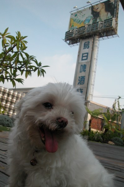 20080726 烏日啤酒廠 (3) 20080726 烏日啤酒廠 (3)