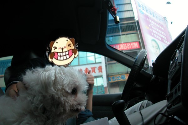 DSCN1785 DSCN1785