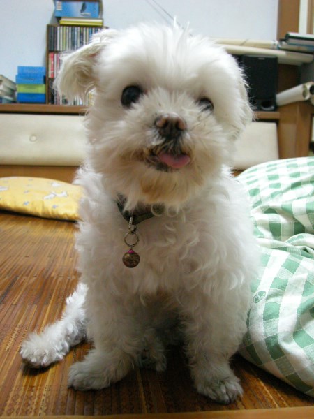 DSCN2279 DSCN2279