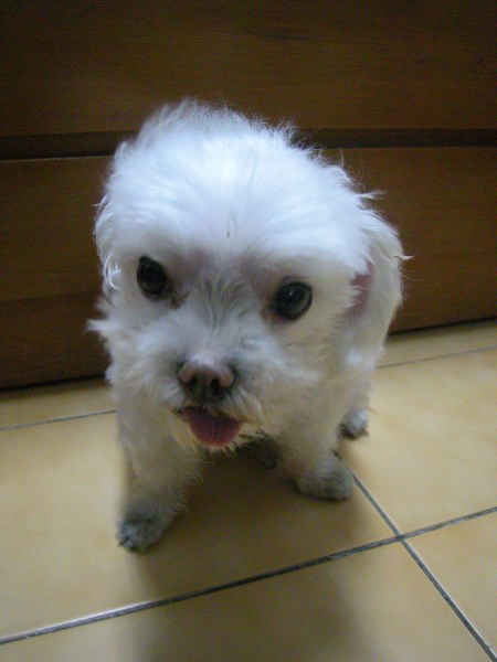 20080826 (5) 20080826 (5)