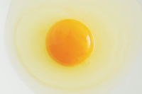 egg5