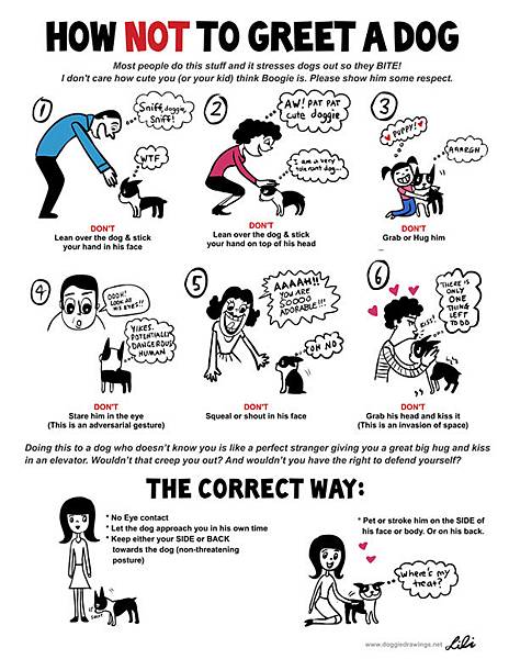 understand-dog-language-chart-3