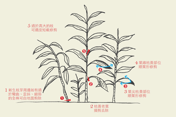 未命名-1 未命名-1