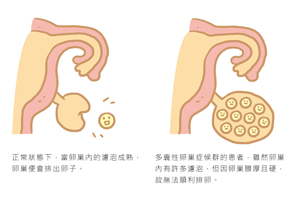未命名-1 未命名-1