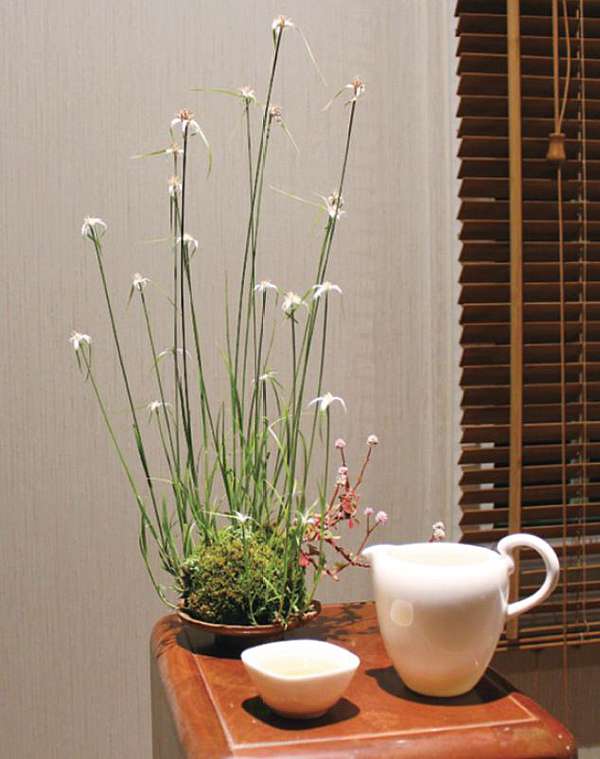 療癒系苔球輕鬆做 創意植栽讓居家生活變可愛 愛生活 365 痞客邦 療癒系苔球輕鬆做 創意植栽讓居家生活變可愛 愛生活 365 痞客邦