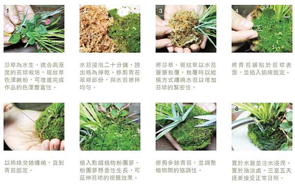 療癒系苔球輕鬆做 創意植栽讓居家生活變可愛 愛生活 365 痞客邦