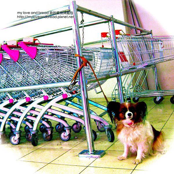 091018 2nd day in vienna 03