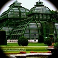 091018 palmenhaus