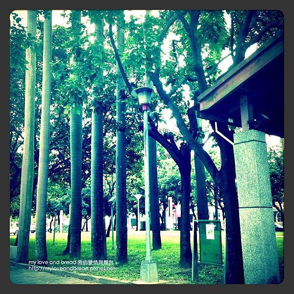 130430 parklane tc 04.jpg