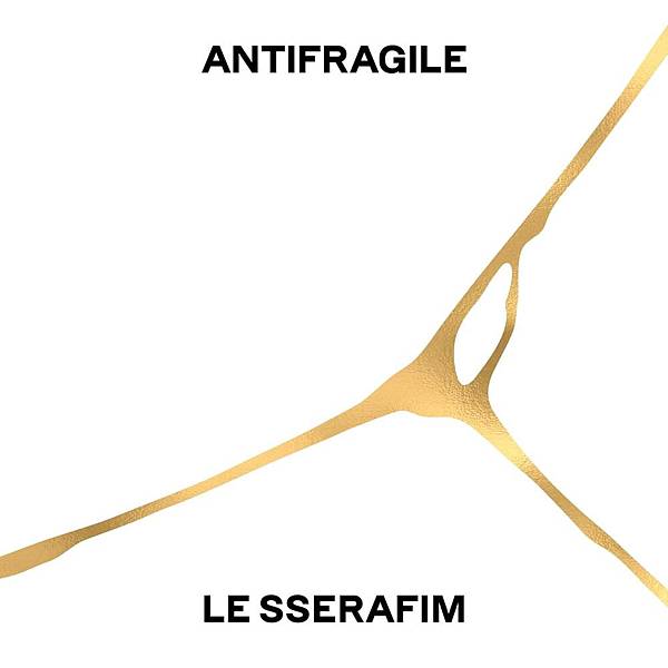  ANTIFRAGILE.jpg