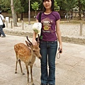 我和野生鹿