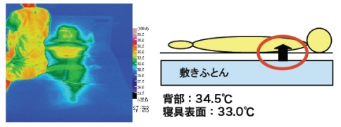 Aerosleep light04.jpg