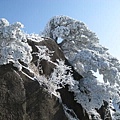 黃山 - 送客松.jpg