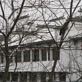 宏村 - 南湖 (2).jpg