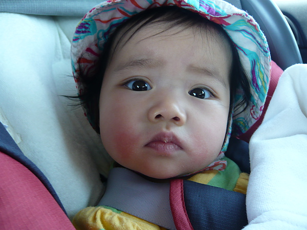 P1080129.JPG P1080129.JPG