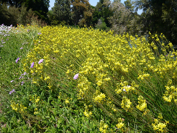 P1080176.JPG P1080176.JPG