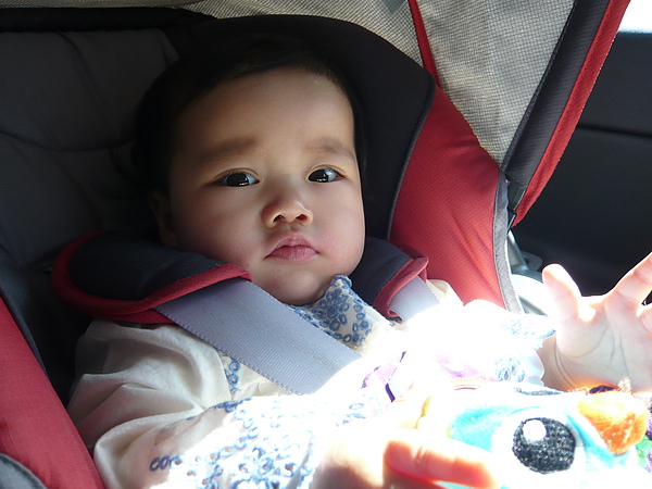 P1080220.JPG P1080220.JPG