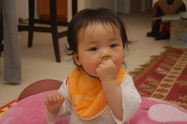 DSC_0198.JPG DSC_0198.JPG