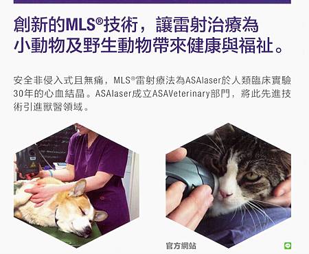 MLS雷射治療