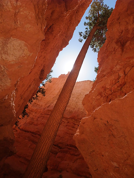 Bryce canyon 7