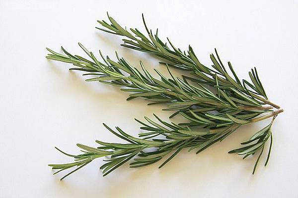 rosemary-74365_640