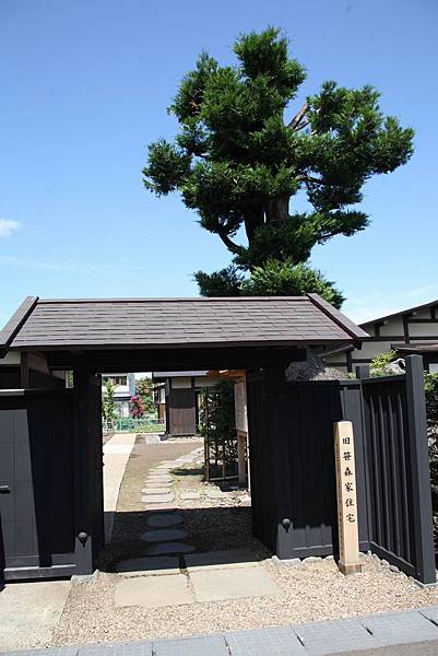 20150808_128-5D.JPG