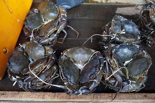 DSC00236.JPG DSC00236.JPG