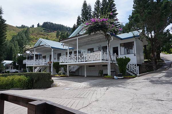 DSC00548.JPG DSC00548.JPG