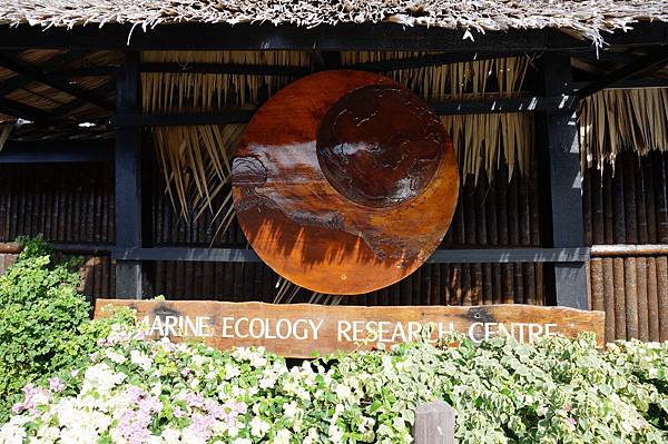 DSC03584.JPG DSC03584.JPG