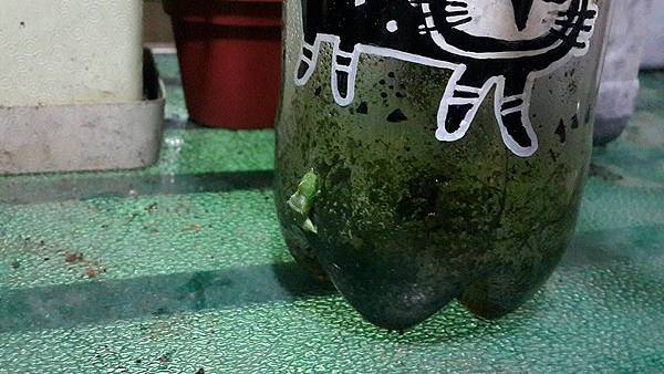 9460_1107758802577664_5884555617014927707_n.jpg 9460_1107758802577664_5884555617014927707_n.jpg