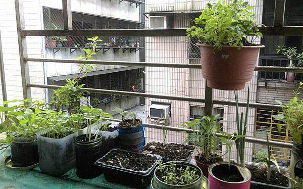 12987017_1113544788665732_4292881528614700408_n.jpg 12987017_1113544788665732_4292881528614700408_n.jpg