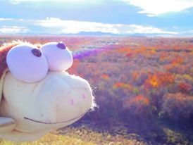 1383498_638218296198386_995693344_n.jpg 1383498_638218296198386_995693344_n.jpg