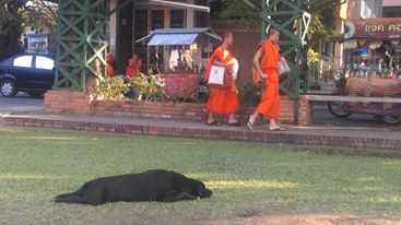 1929797_1056749161011962_4179992879763346592_n.jpg 1929797_1056749161011962_4179992879763346592_n.jpg